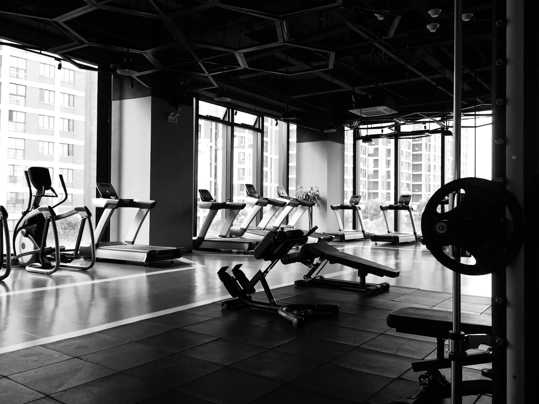 Cardio machines lined along tall windows in the conditioning chamber.